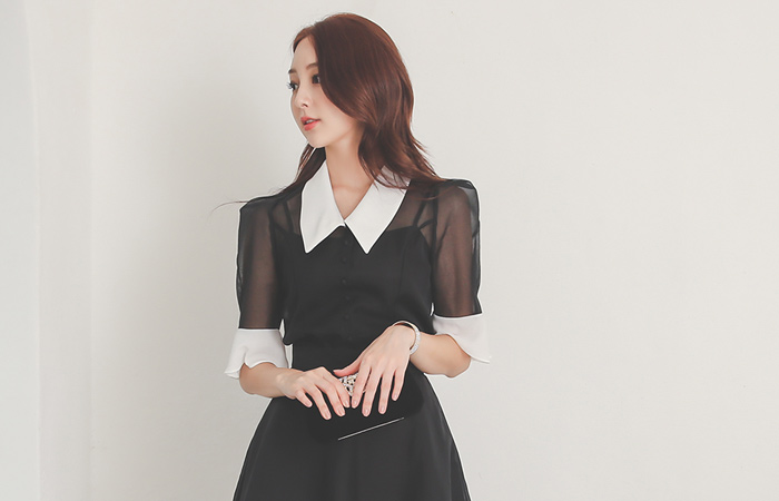 ビッグカラー 配色 オーガンザ ブラウス