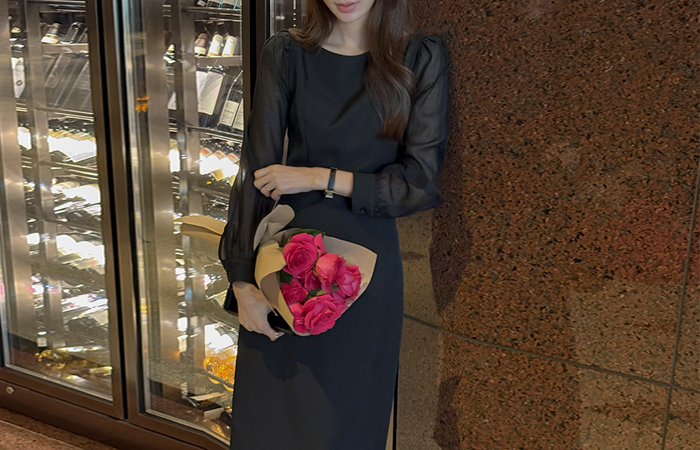 ODE シースルー 袖 Hライン ワンピース(2type)