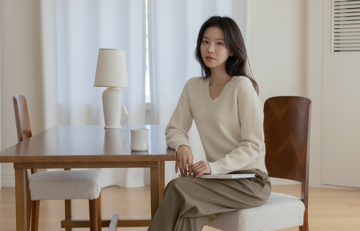 デーリー Vネック 스탠다드핏 ニット