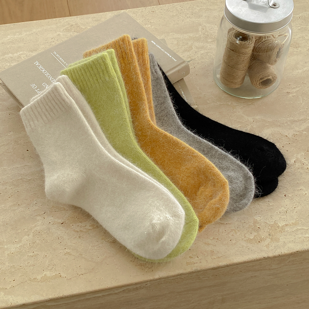 カラー ポイント ODE 靴下