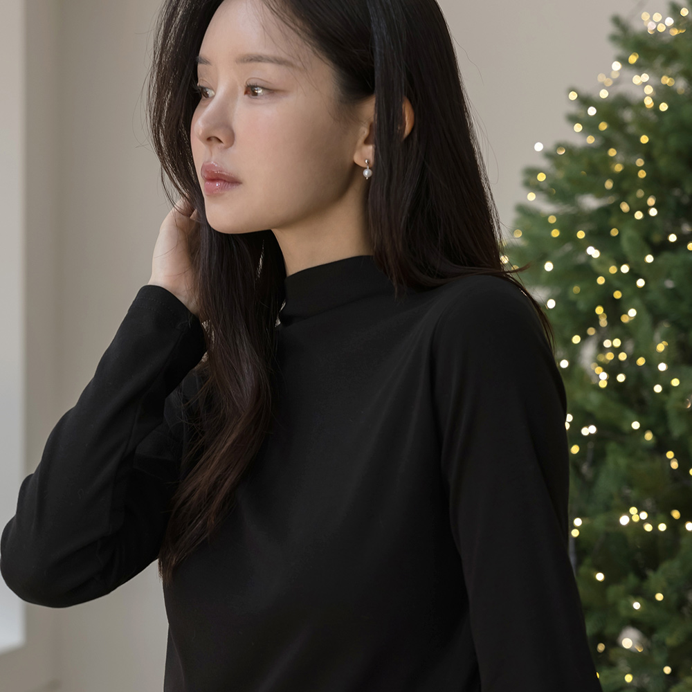 デーリー 起毛 裏地 ハーフネック 弾力 ティーシャツ