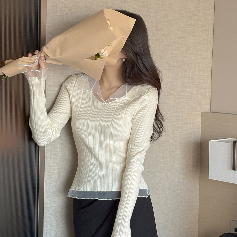 シースルー 配色 カラー ほっそりした ニット