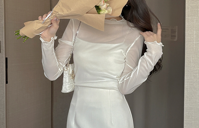 シースルー とっくりえり ティーシャツ