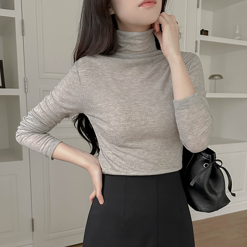 ハイネック テンセル シースルー カラー ティーシャツ