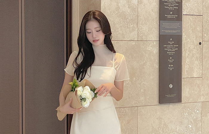 セミハイネック シースルー 半そで ブラウス