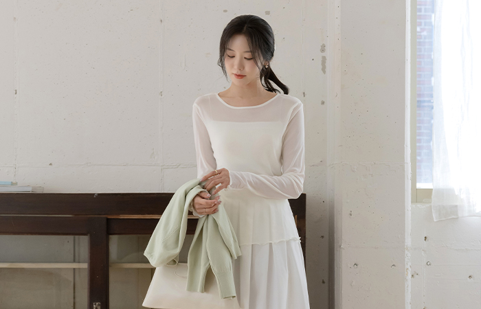 細かく美しい ラウンドネック シースルー ティーシャツ