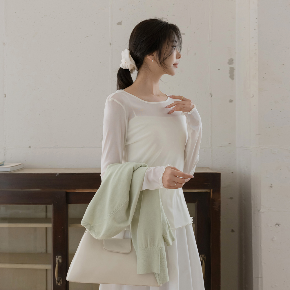 細かく美しい ラウンドネック シースルー ティーシャツ